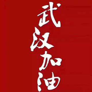 防控疫情，我们同行，武汉加油(ง •̀_•́)ง