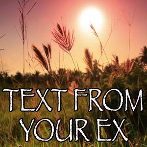 Text from Your Ex - Tinie Tempah feat. Tinashe (karaoke) 带和声伴奏 （升7半音）