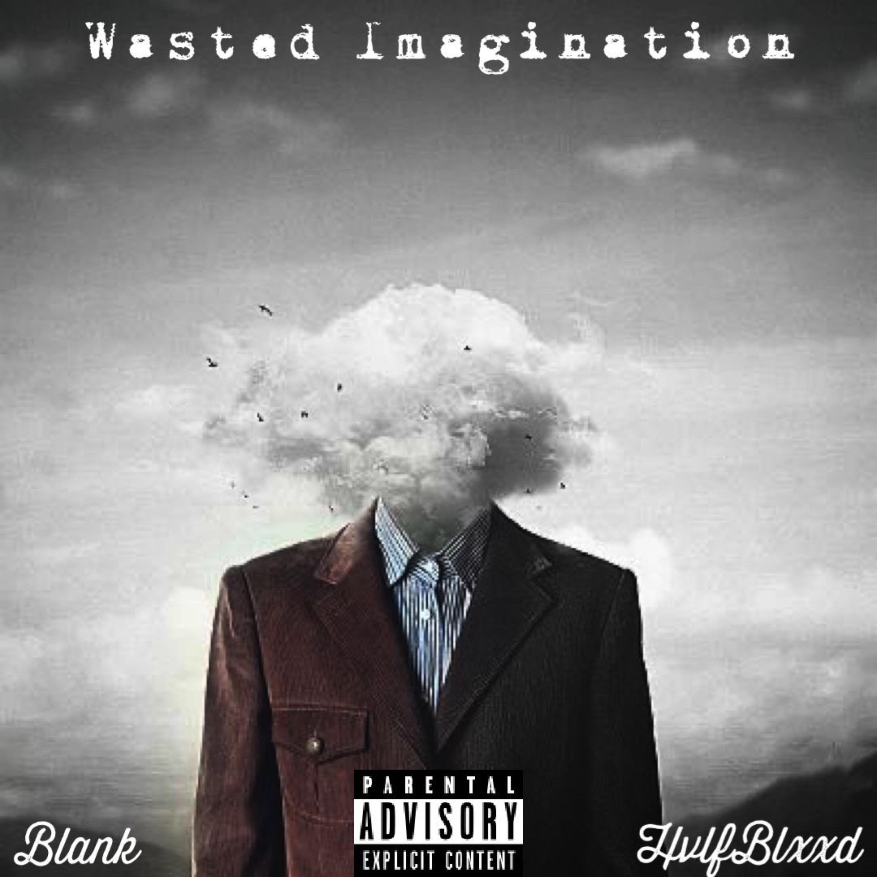 Wasted Imagination