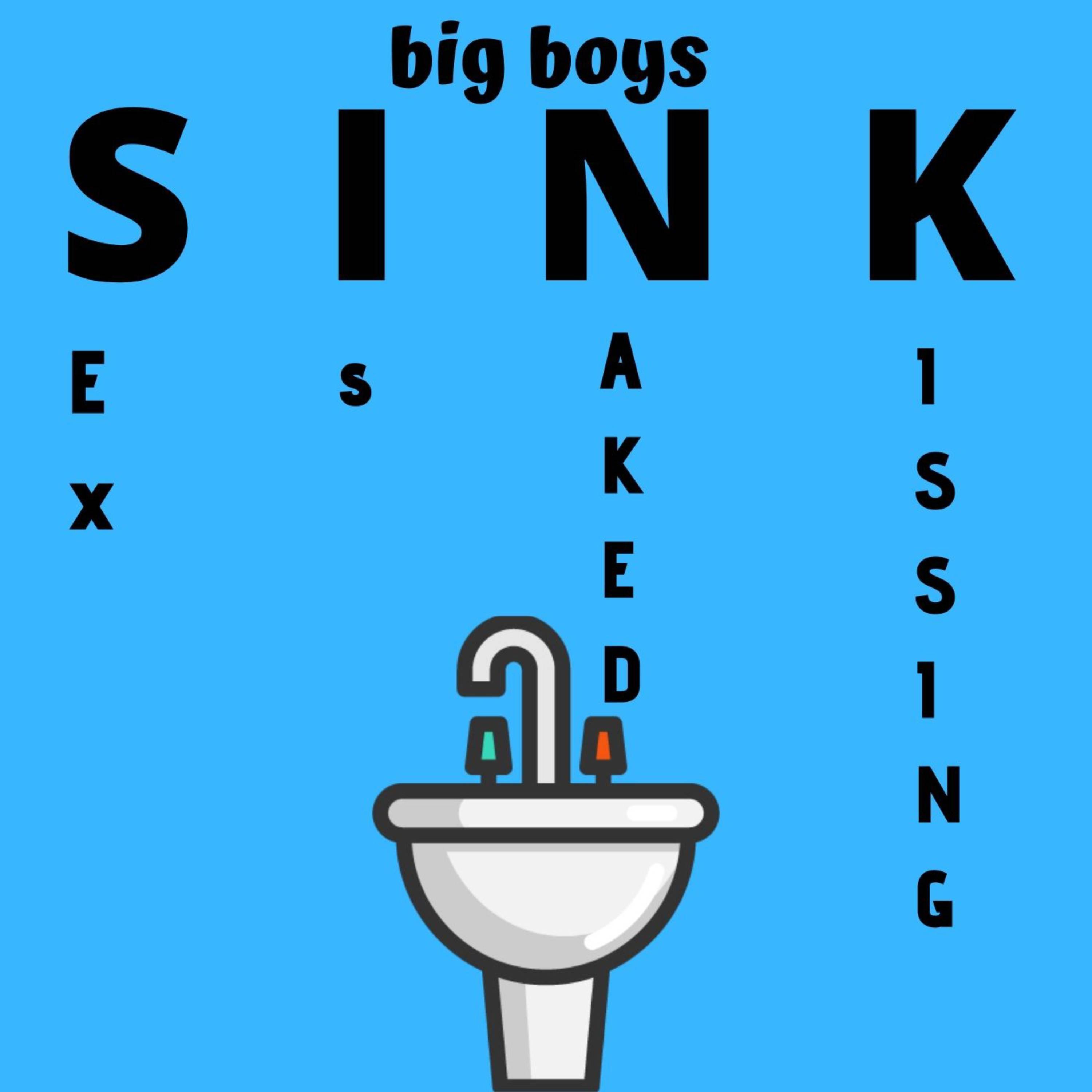 S.I.N.K