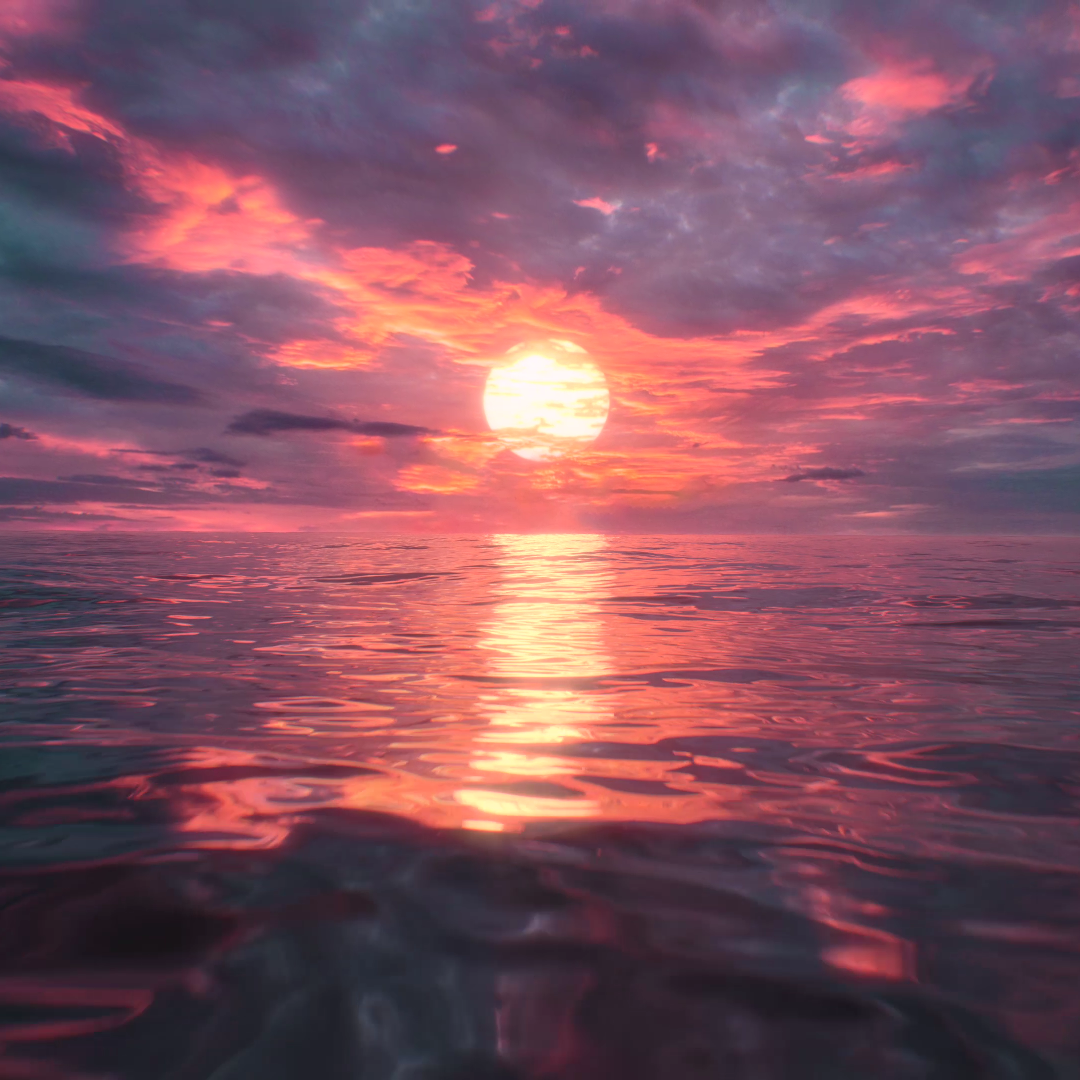 [FREE]