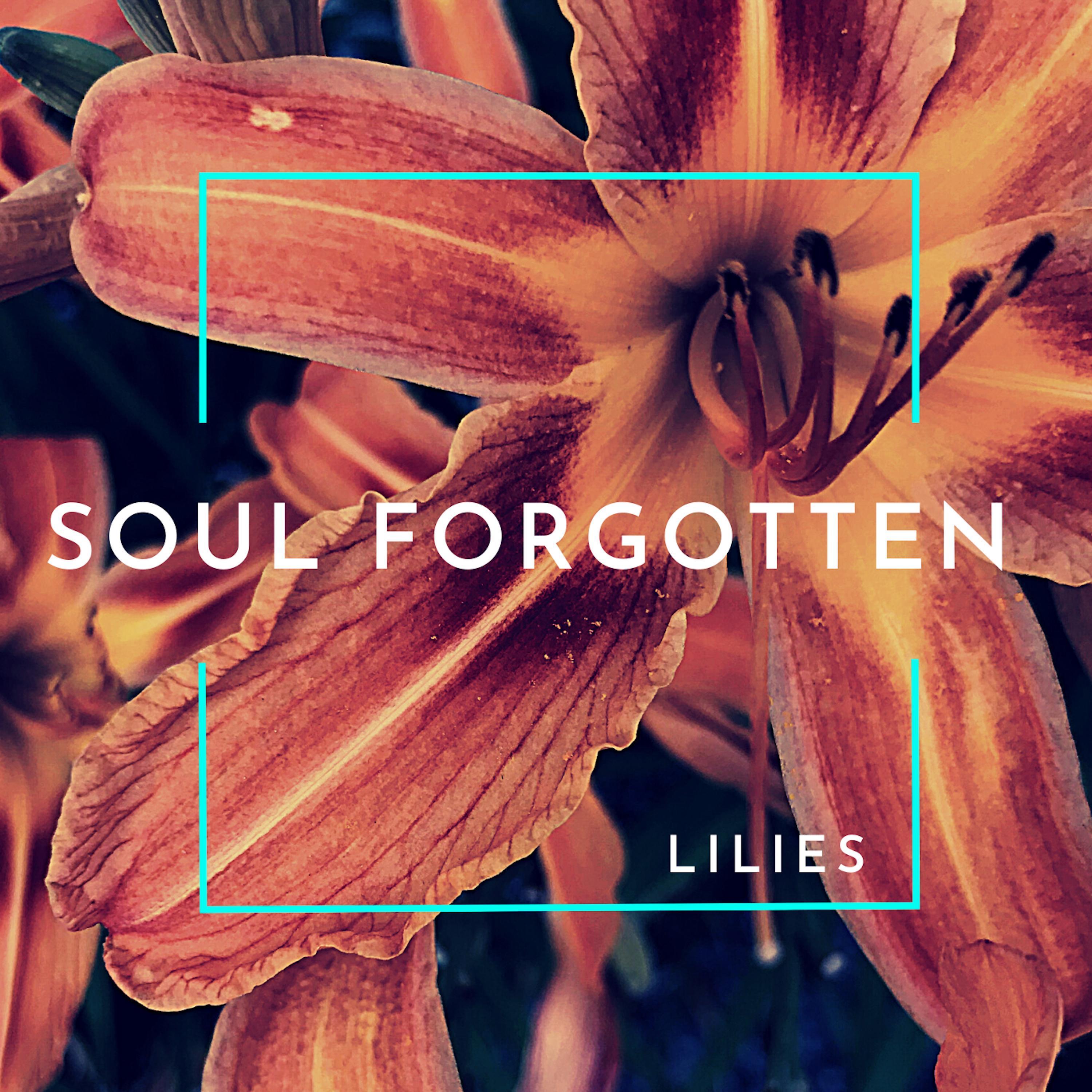 Lilies