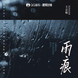 王志魁 - 雨痕