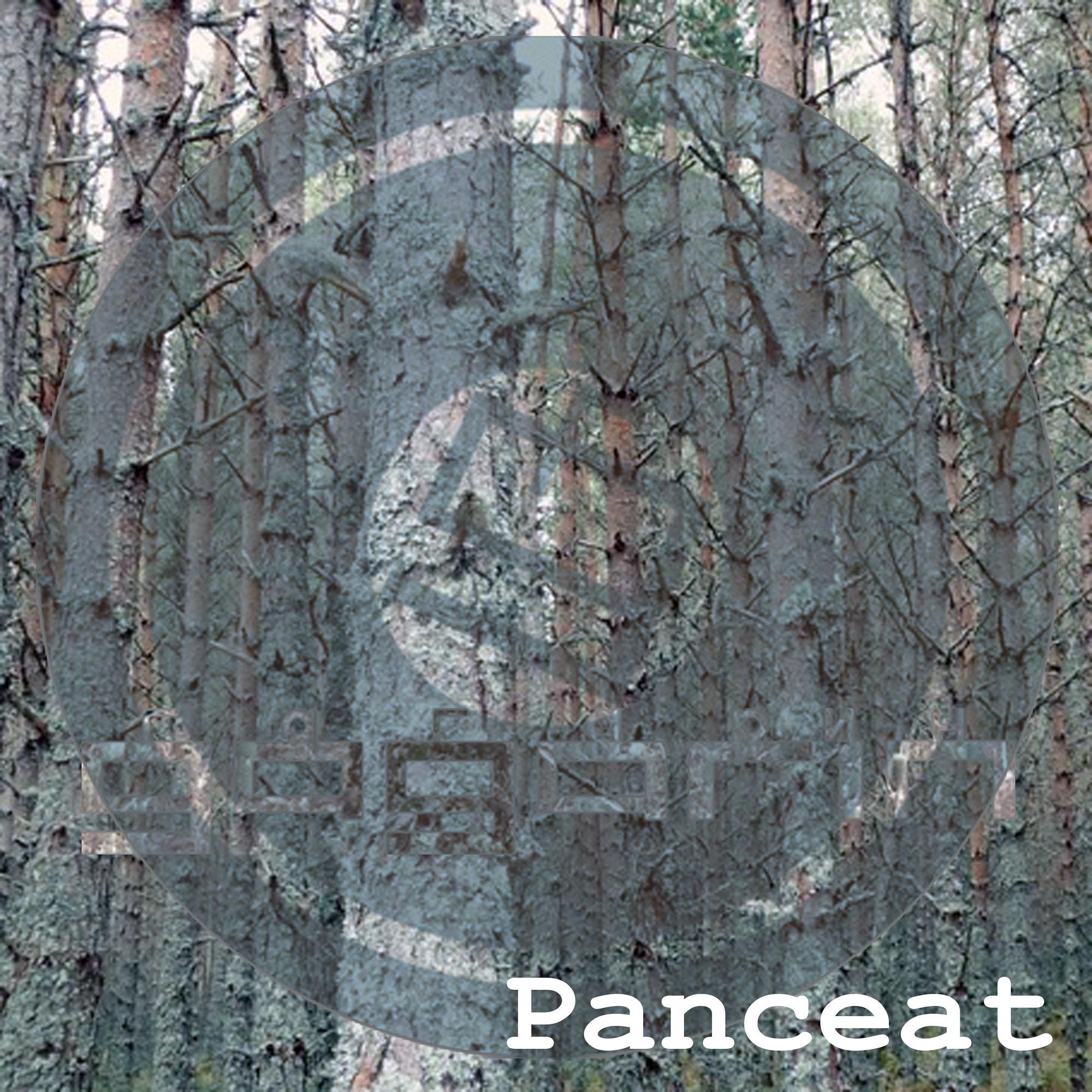 Panceat Remixes
