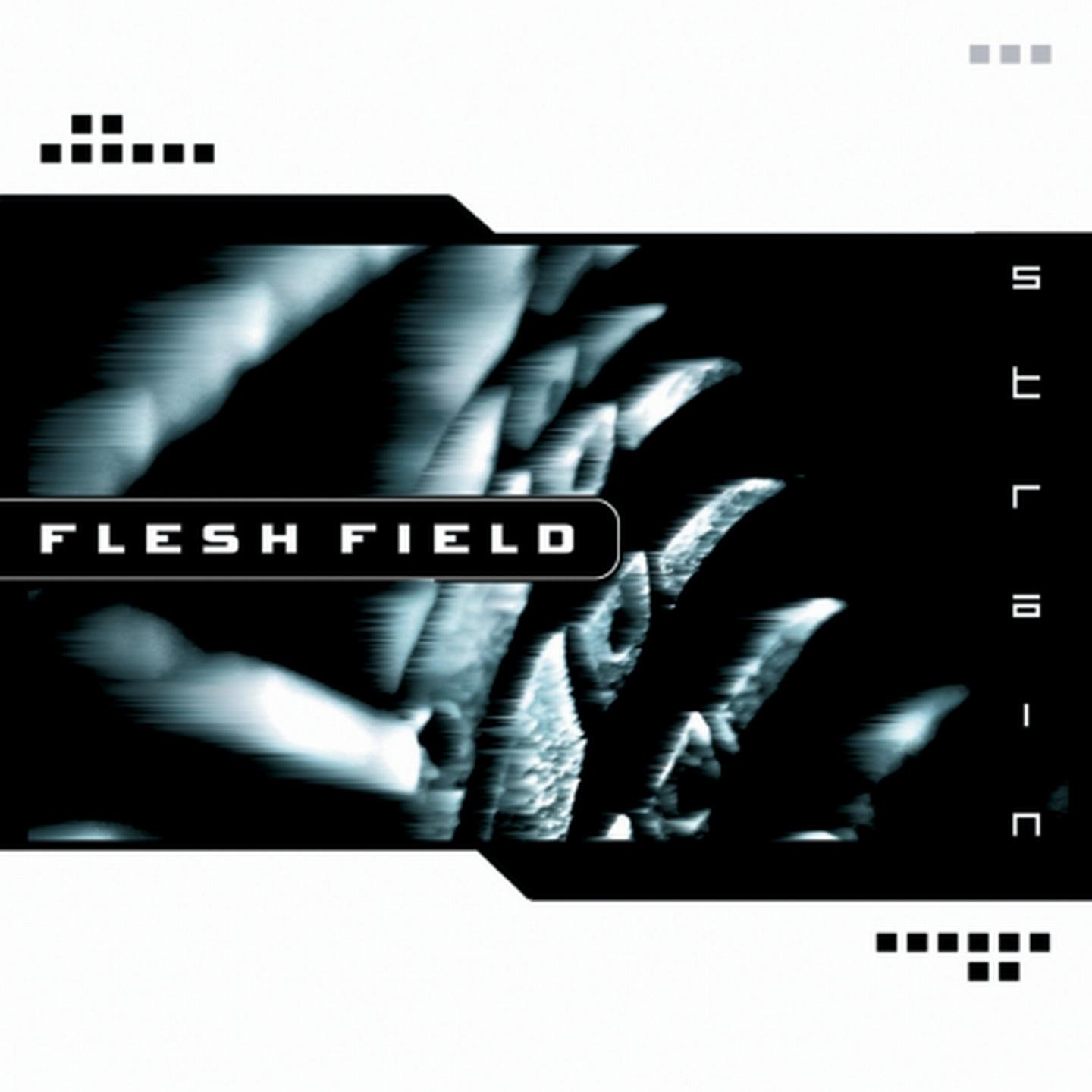 Flesh Field - The Broken Dream