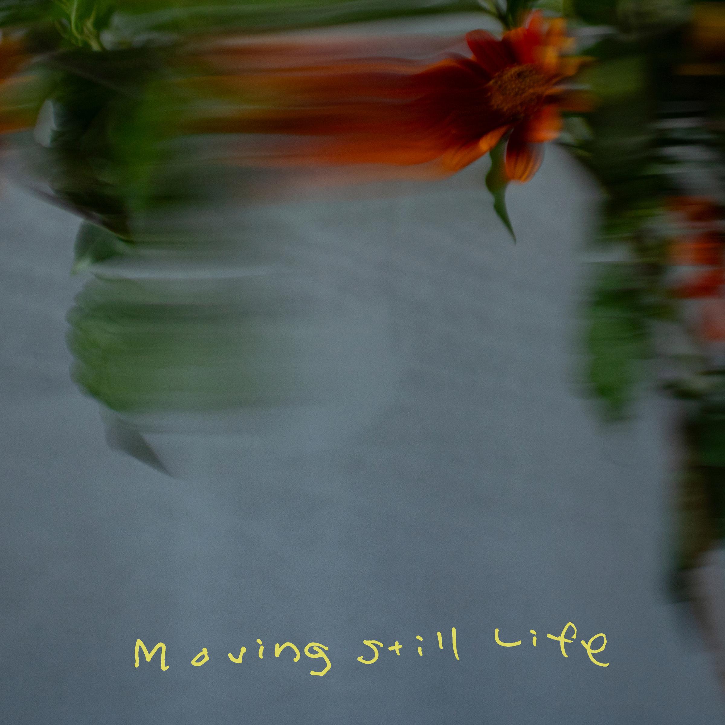 Moving Still Life