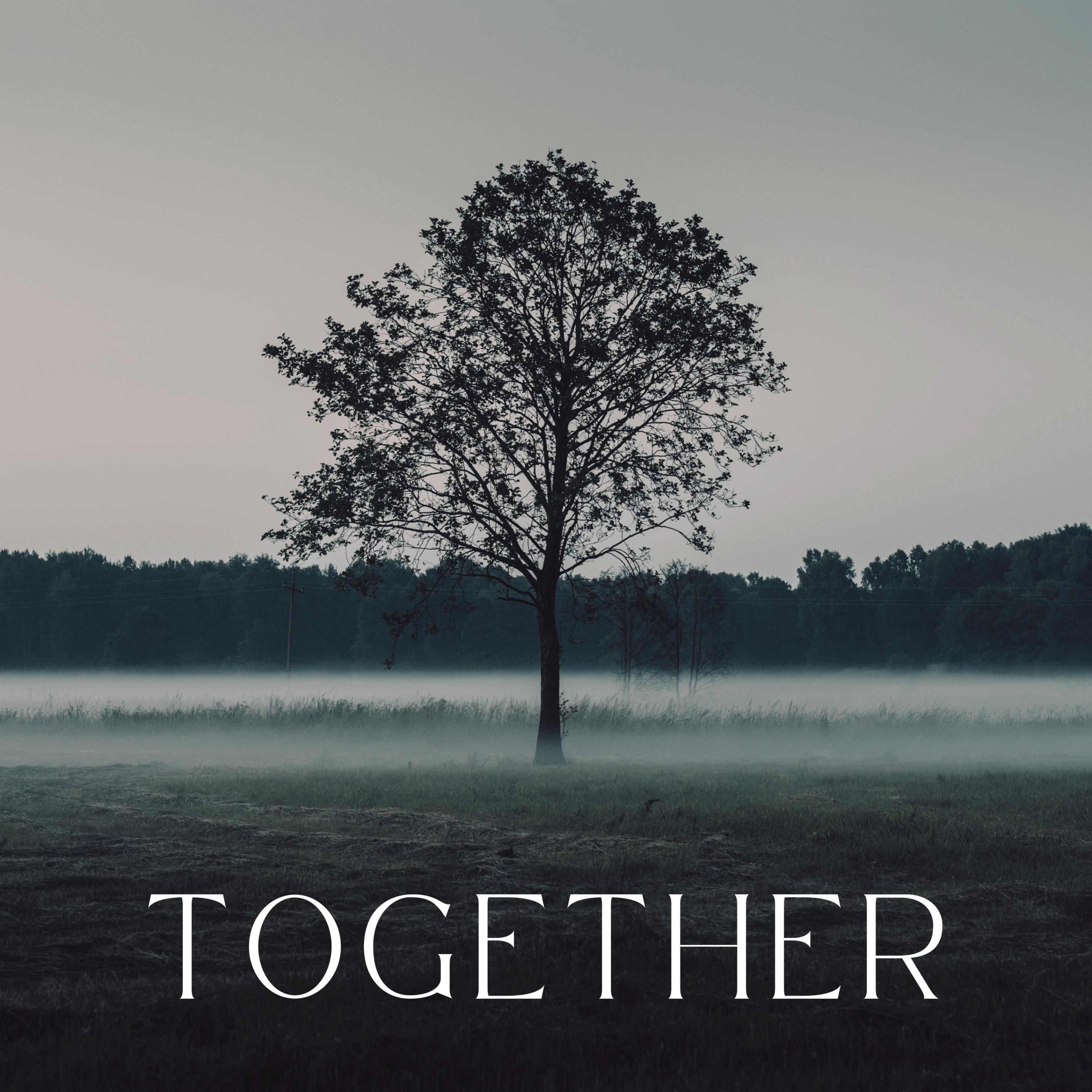 harmony haven - Together Again