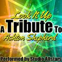 Look It Up (A Tribute to Ashton Shepherd) - Single专辑