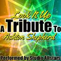 Look It Up (A Tribute to Ashton Shepherd) - Single