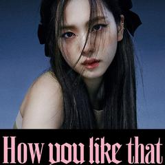 你想怎么样（How you like that）（翻自 BLACKPINK）