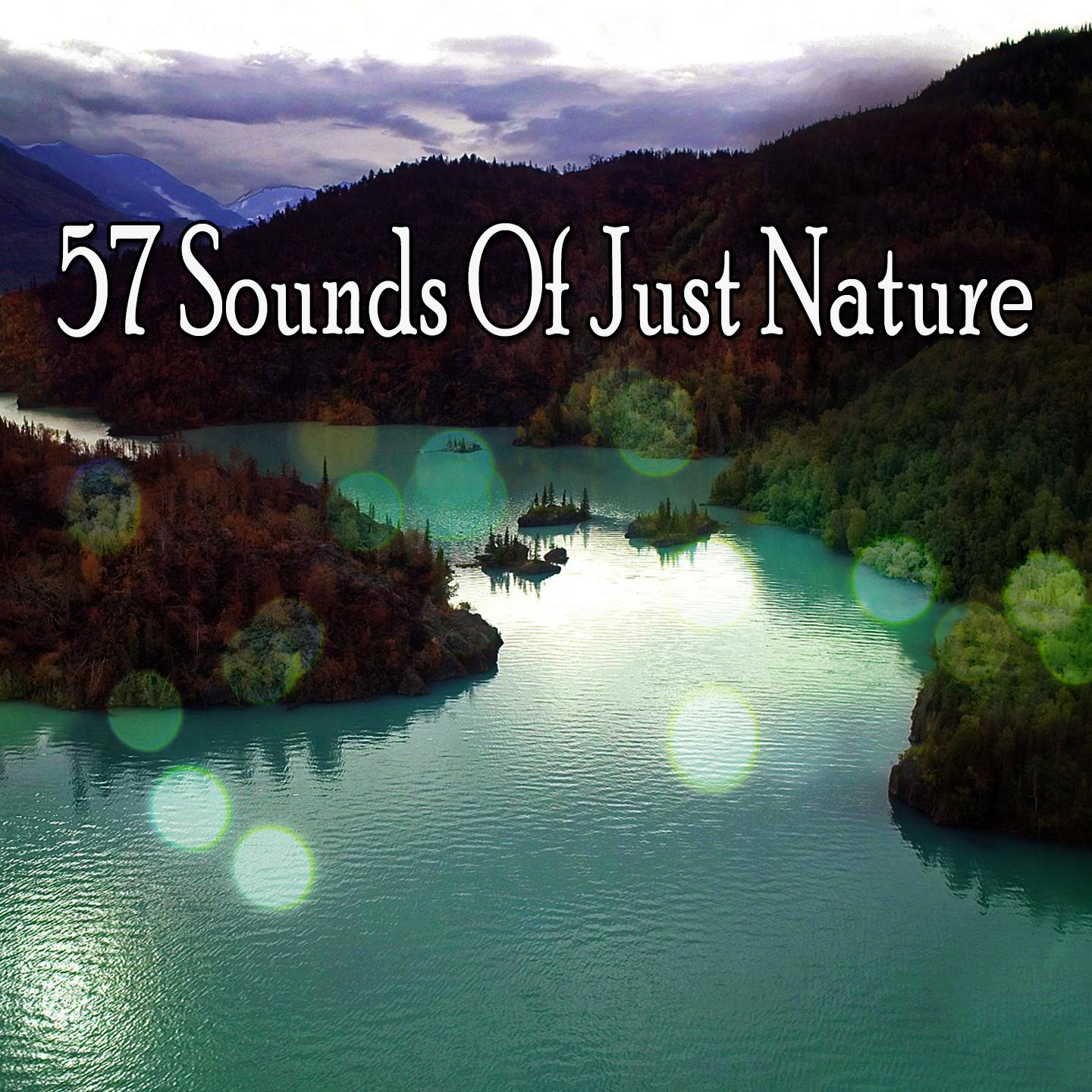 57 Sounds Of Just Nature专辑