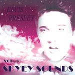 Skyey Sounds Vol. 5专辑