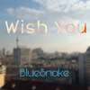 Wish You(祝愿)专辑