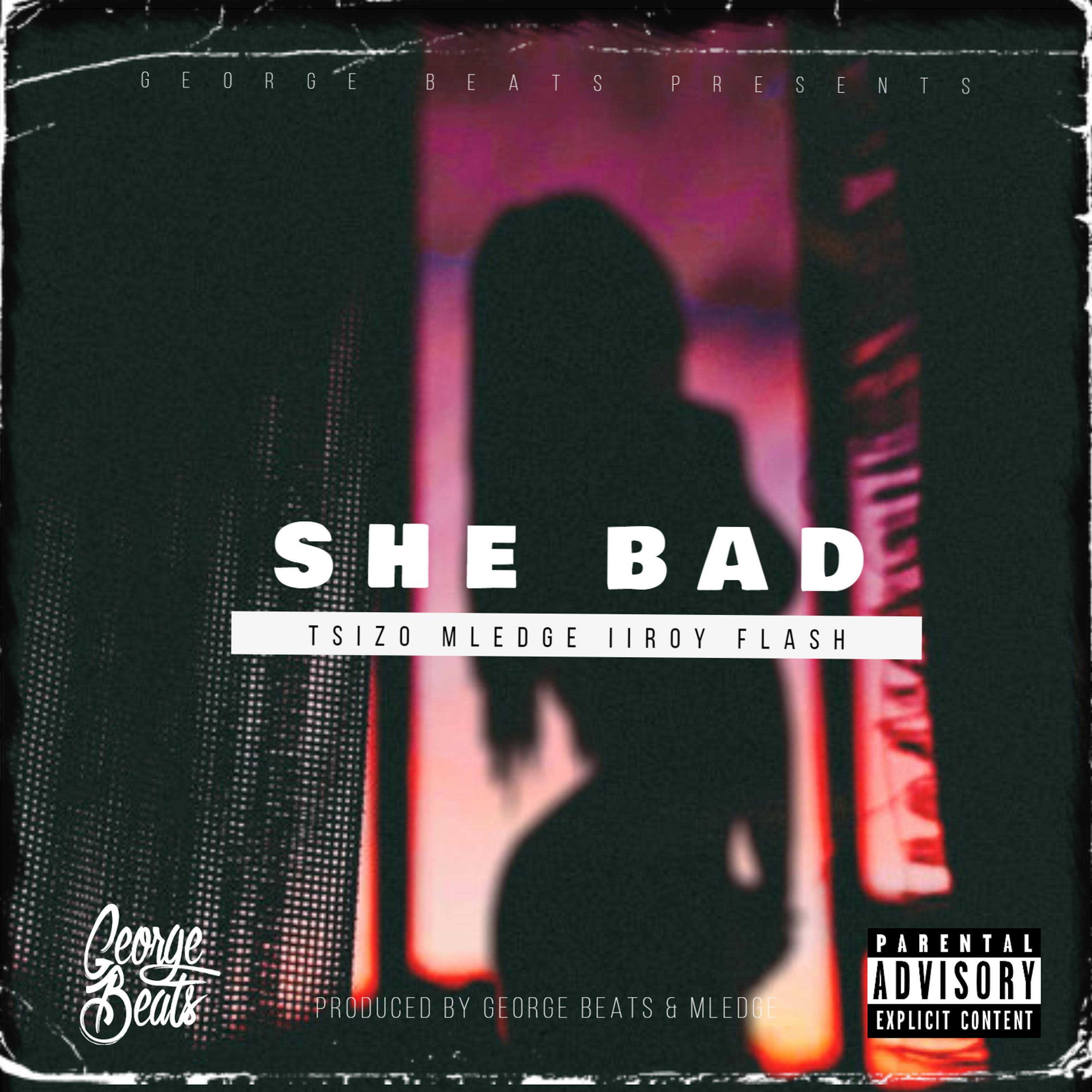 She Bad (feat. Tsizo, Mledge, IIroy & Flash)