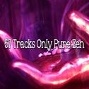 57 Tracks Only Pure Zen专辑