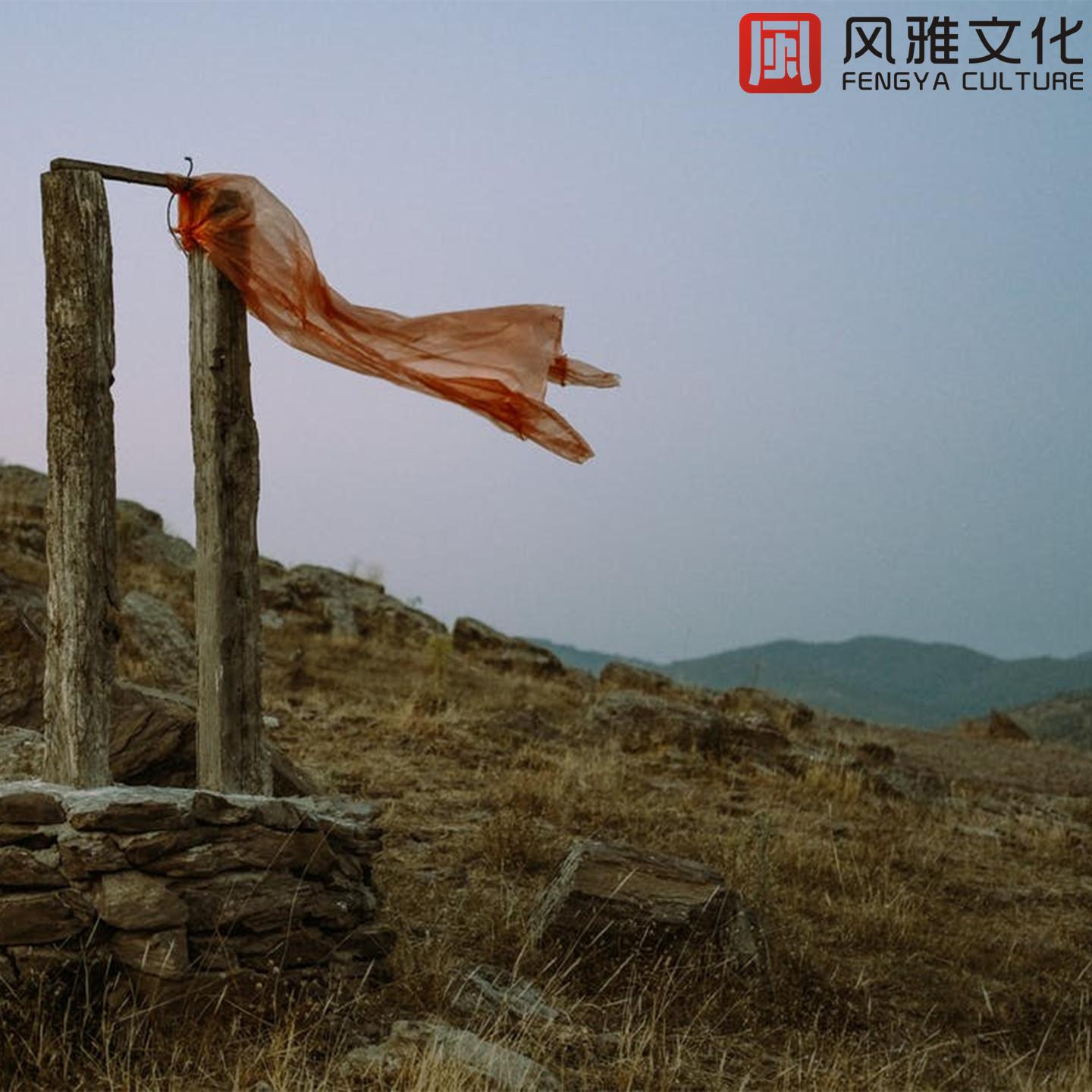 睡前治愈催眠曲 / 快速入睡轻音乐纯音乐