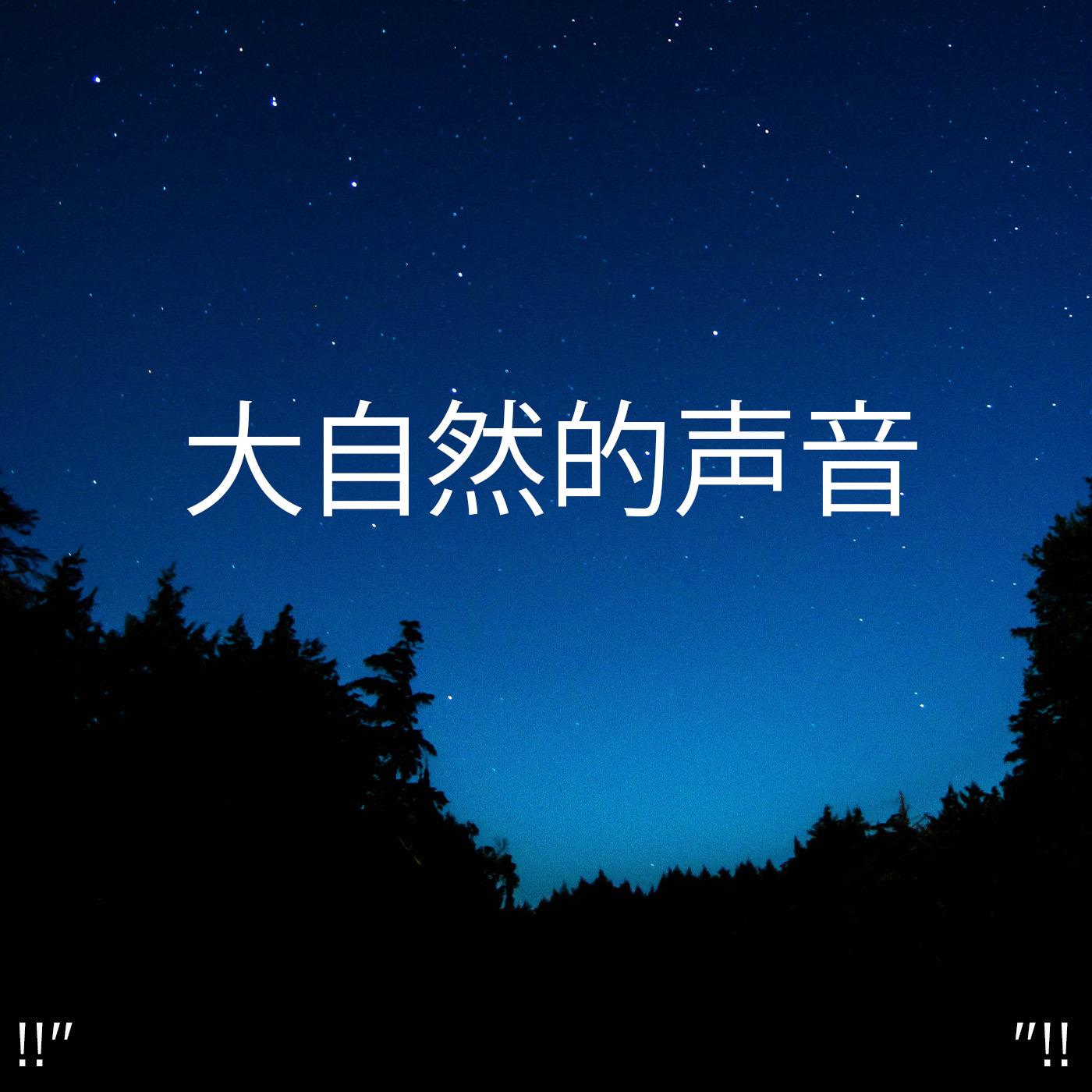 !!" 大自然的声音 "!!
