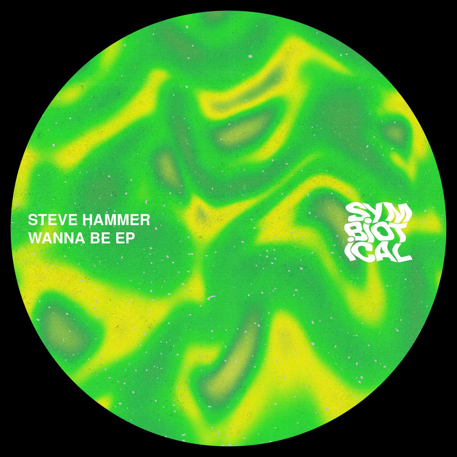 Steve Hammer - Wanna Be