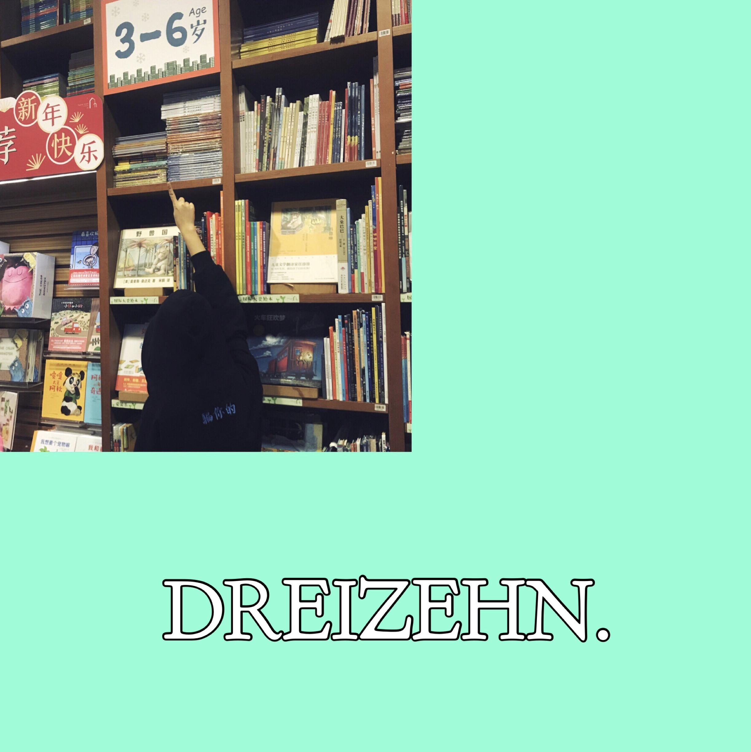 DREIZEHN.专辑