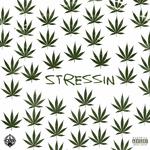 Stressin专辑