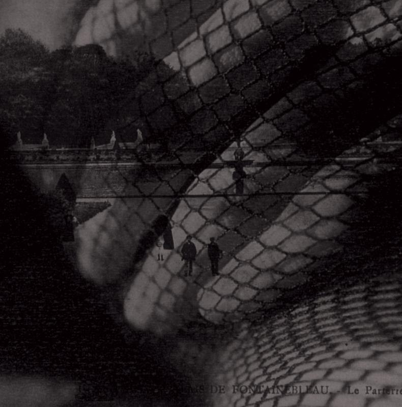 アンドロメタモルフォーゼ