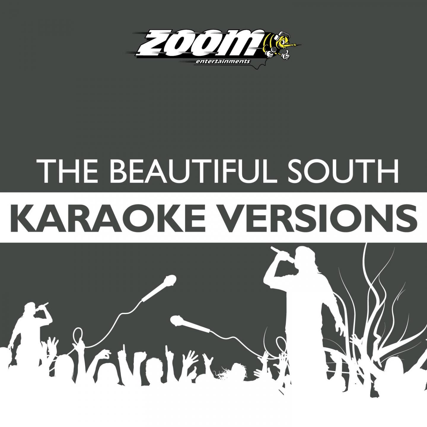 Zoom Karaoke Heroes - The Beautiful South专辑