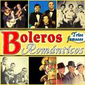 Boleros Románticos. Tríos Famosos专辑