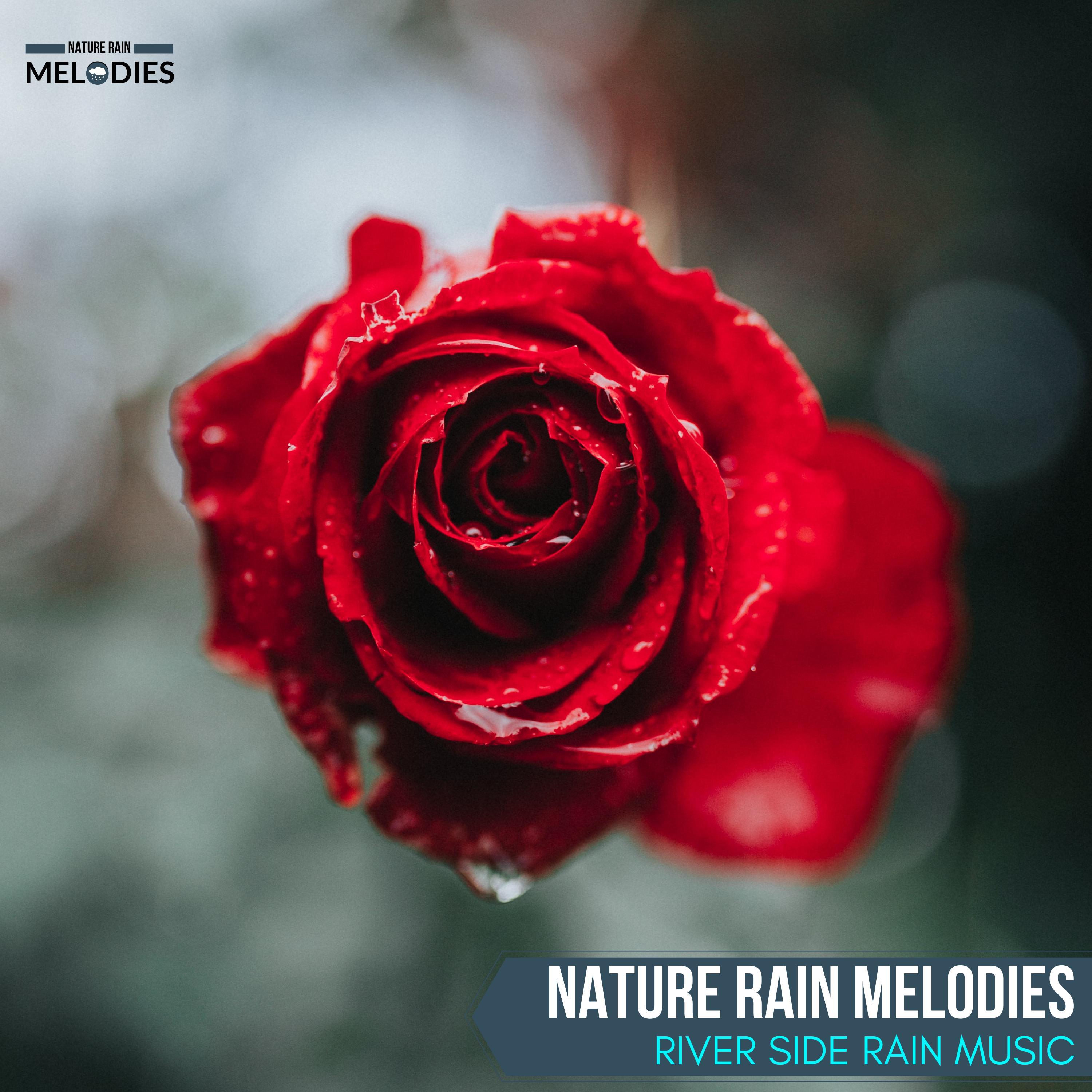 The Beauty of Flowers Nature Studio - Symphonic Light Rain