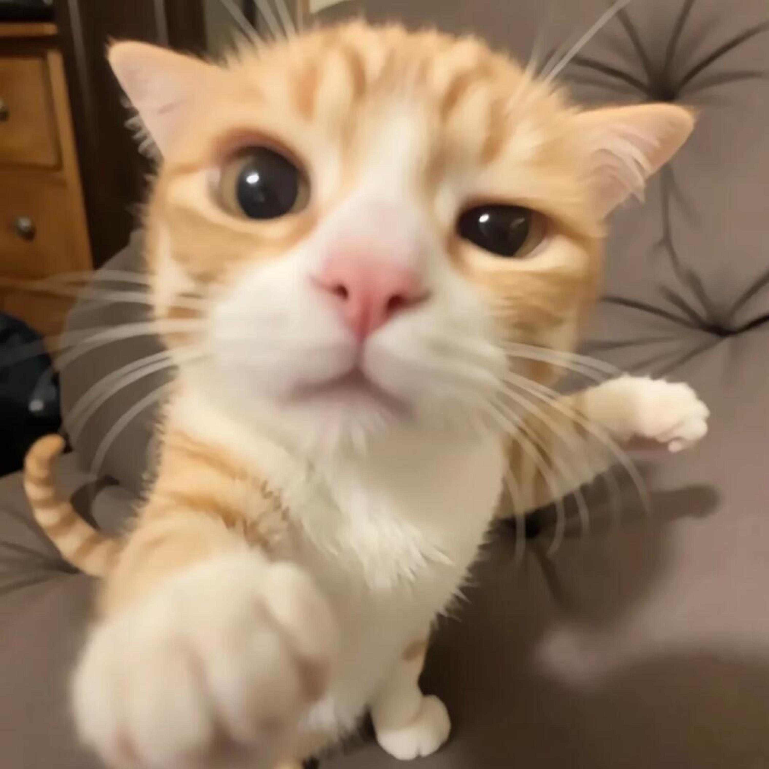 引渡山歌（哈基米）