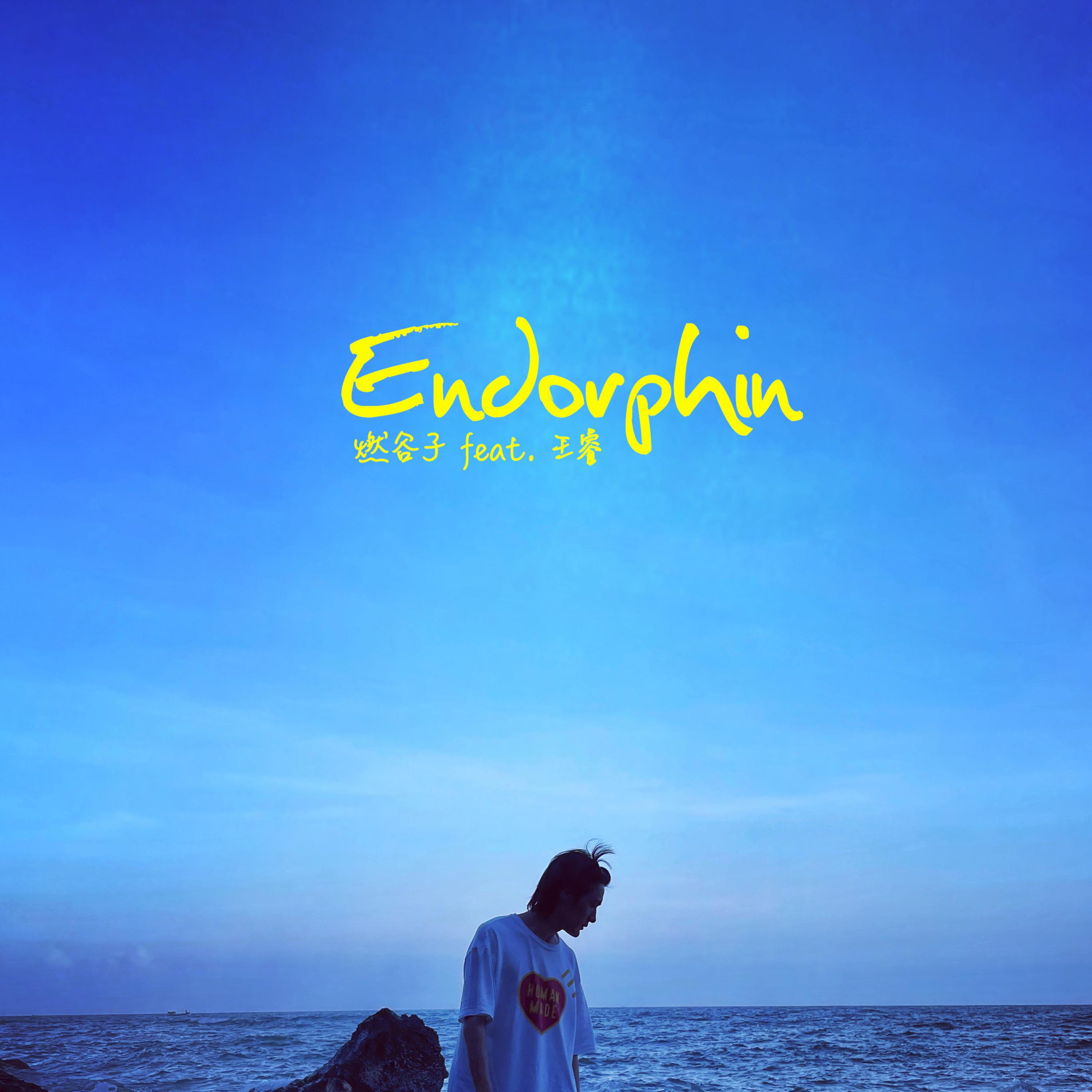 Endorphin专辑