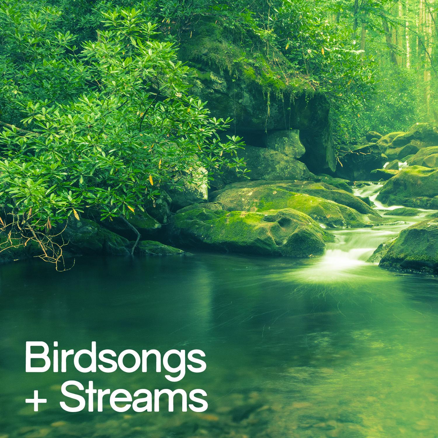 Birdsongs and Streams专辑