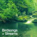 Birdsongs and Streams专辑