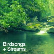 Birdsongs and Streams