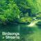 Birdsongs and Streams专辑