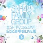 SNH48 FAMILY GROUP暨SNH48出道五周年纪念演唱会 (下)专辑