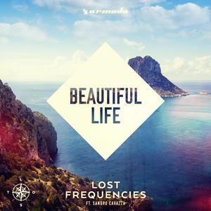 Lost Frequencies Sandro Cavazza - Beautiful Life （降2半音）