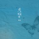 爱只有我会专辑
