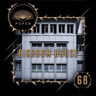 放刺特辑-68 | Bigroom House