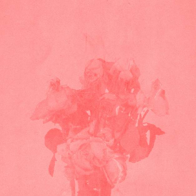 Sacred Flowers