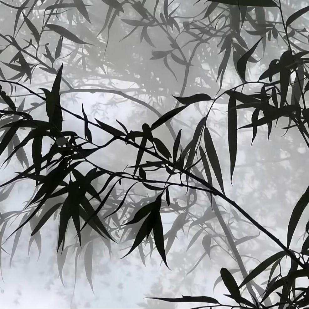 谪仙