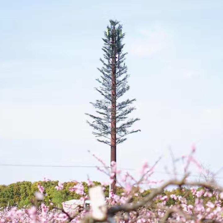 若不是你突然闯进我生活专辑