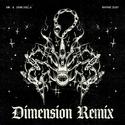 Rhyme Dust (Dimension Remix)