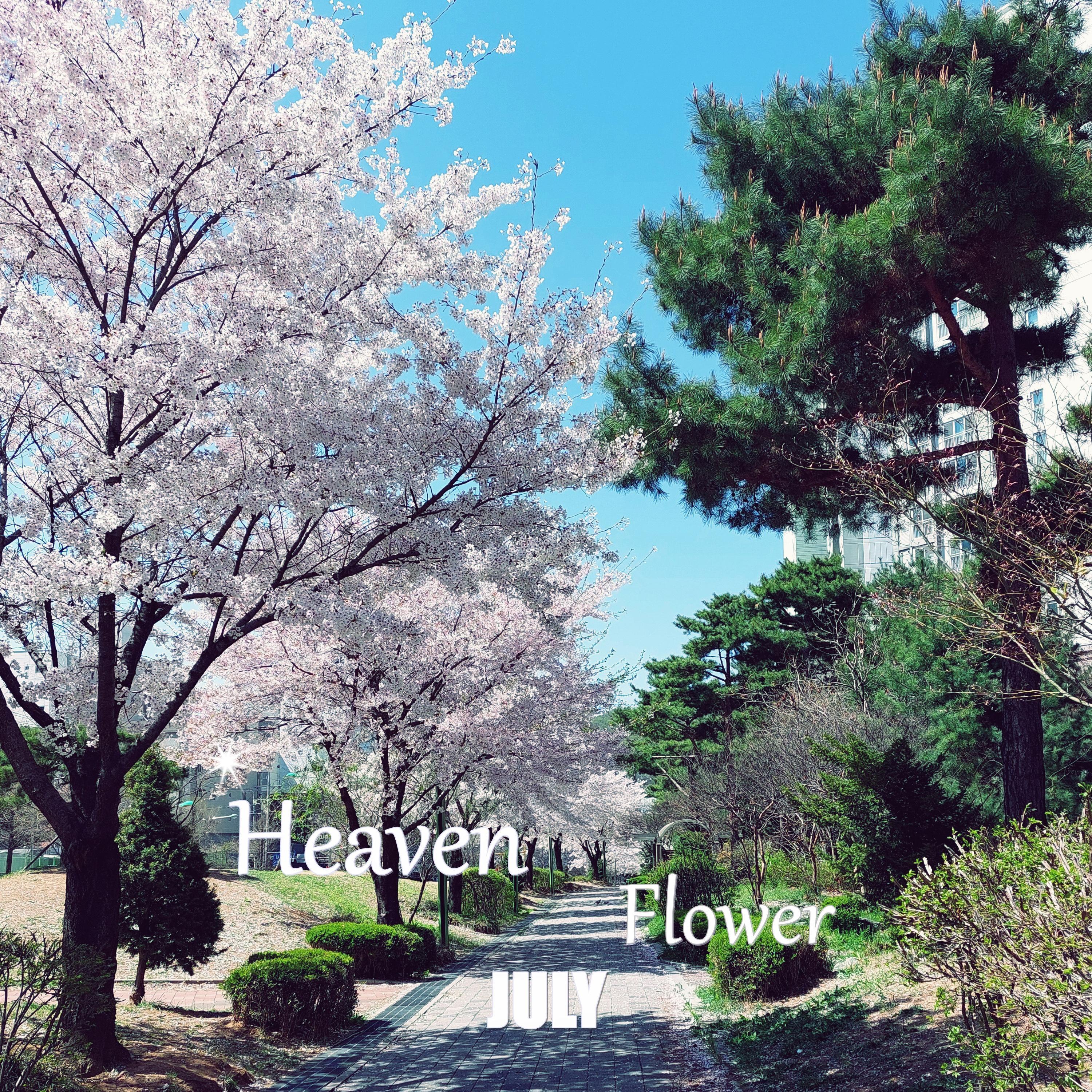 Heaven Flower