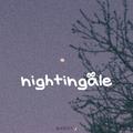 nightingale