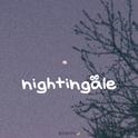 nightingale专辑