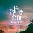 实心透明