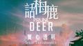 实心透明专辑