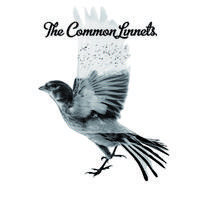 The Common Linnets-Calm After The Storm