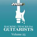 Backing Tracks For Guitarists, Vol. 25专辑