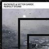 BackFaze - Perfect Storm (Extended Mix)